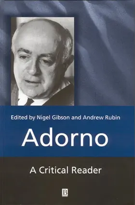 Gibson / Rubin |  Adorno | Buch |  Sack Fachmedien