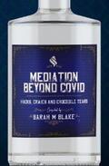 Blake |  Mediation Beyond Covid | eBook | Sack Fachmedien
