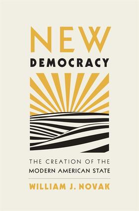 Novak |  New Democracy | Buch |  Sack Fachmedien