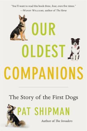 Shipman |  Our Oldest Companions | Buch |  Sack Fachmedien