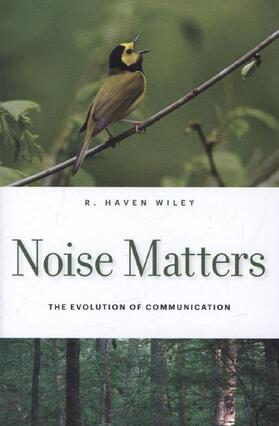 Wiley |  Noise Matters | Buch |  Sack Fachmedien