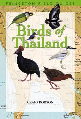 Robson | Birds of Thailand | Buch | 978-0-691-00701-4 | sack.de