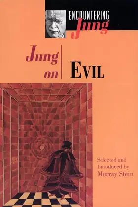 Jung / Stein |  Jung on Evil | Buch |  Sack Fachmedien