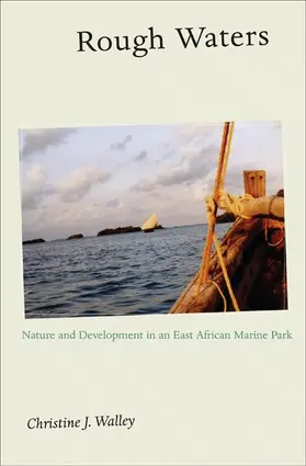 Walley |  Rough Waters | Buch |  Sack Fachmedien