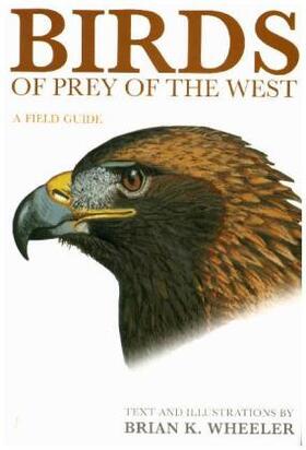 Wheeler | Birds of Prey of the West | Buch | 978-0-691-11718-8 | www.sack.de