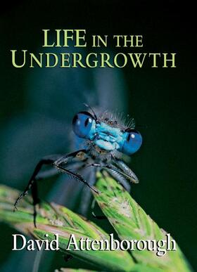 Attenborough | LIFE IN THE UNDERGROWTH | Buch | 978-0-691-12703-3 | sack.de