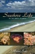 Sept |  A Photographic Guide to Seashore Life in the North Atlantic | Buch |  Sack Fachmedien