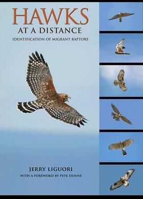 Liguori | Hawks at a Distance - Identification of Migrant Raptors | Buch | 978-0-691-13558-8 | sack.de