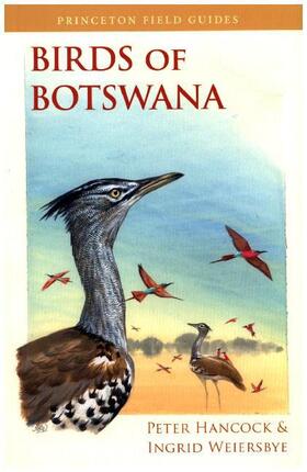 Hancock / Weiersbye | Birds of Botswana | Buch | 978-0-691-15717-7 | www.sack.de