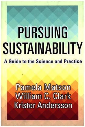 Andersson / Matson / Clark |  Pursuing Sustainability | Buch |  Sack Fachmedien