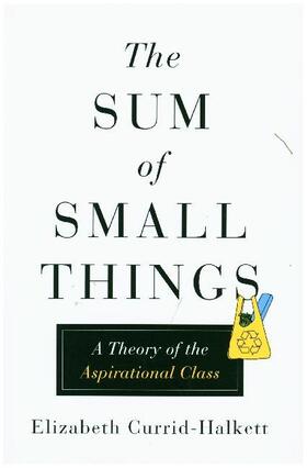 Currid-Halkett |  Sum of Small Things | Buch |  Sack Fachmedien