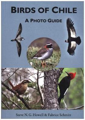 Howell / Schmitt | Birds of Chile | Buch | 978-0-691-16739-8 | sack.de