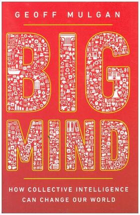 Mulgan |  Big Mind | Buch |  Sack Fachmedien