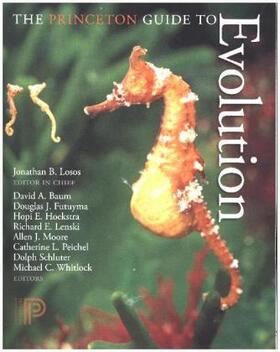 Baum / Futuyma / Hoekstra | The Princeton Guide to Evolution | Buch | 978-0-691-17587-4 | www.sack.de