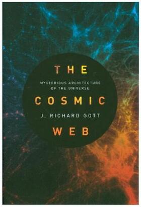Gott | The Cosmic Web | Buch | 978-0-691-18117-2 | sack.de