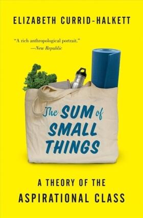 Currid-Halkett | The Sum of Small Things | Buch | 978-0-691-18317-6 | www.sack.de