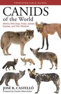 Castelló |  Canids of the World | eBook | Sack Fachmedien