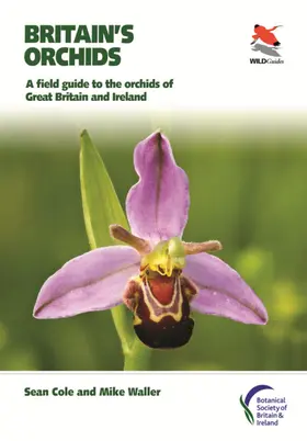 Cole / Waller |  Britain's Orchids | eBook | Sack Fachmedien