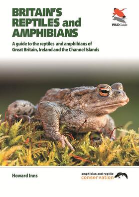 Inns | Britain's Reptiles and Amphibians | E-Book | sack.de
