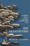 Tschinkel |  Ant Architecture | eBook | Sack Fachmedien