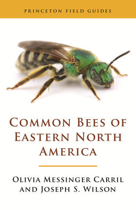 Carril / Wilson | Common Bees of Eastern North America | E-Book | sack.de