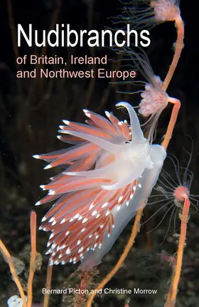 Picton / Morrow |  Nudibranchs of Britain, Ireland and Northwest Europe | eBook | Sack Fachmedien