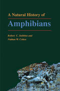 Stebbins / Cohen |  A Natural History of Amphibians | eBook | Sack Fachmedien