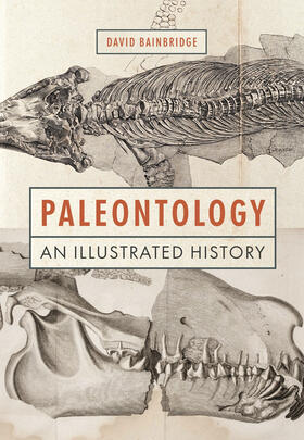 Bainbridge | Paleontology | E-Book | sack.de