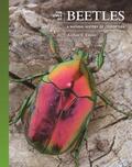 Evans |  The Lives of Beetles | eBook | Sack Fachmedien