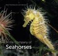 Trewhella / Hatcher |  In the Company of Seahorses | eBook | Sack Fachmedien
