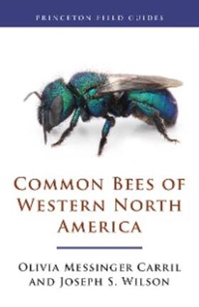 Carril / Wilson | Common Bees of Western North America | E-Book | sack.de
