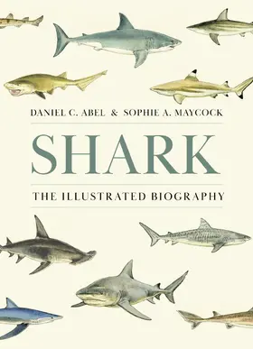 Abel / Maycock |  Shark | eBook | Sack Fachmedien