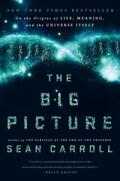 Carroll |  Big Picture | eBook | Sack Fachmedien