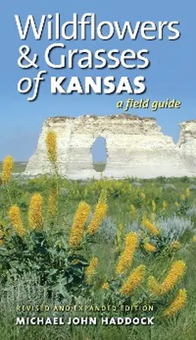 Haddock |  Wildflowers and Grasses of Kansas | eBook | Sack Fachmedien