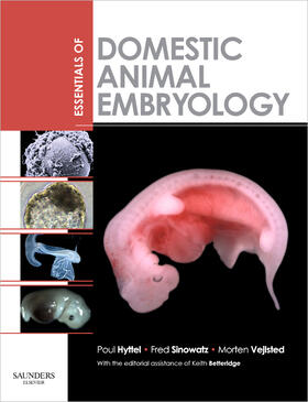 Hyttel / Sinowatz / Vejlsted | Hyttel, P: Essentials of Domestic Animal Embryology | Buch | 978-0-7020-2899-1 | sack.de