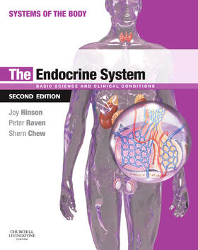 Hinson / Raven / Chew | The Endocrine System | Buch | 978-0-7020-3372-8 | sack.de