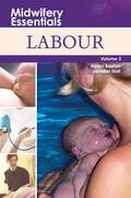 Baston / Hall |  Midwifery Essentials: Labour E-Book | eBook | Sack Fachmedien