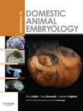 Hyttel / Sinowatz / Vejlsted |  Essentials of Domestic Animal Embryology E-Book | eBook | Sack Fachmedien