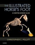 Pollitt |  The Illustrated Horse's Foot | Buch |  Sack Fachmedien