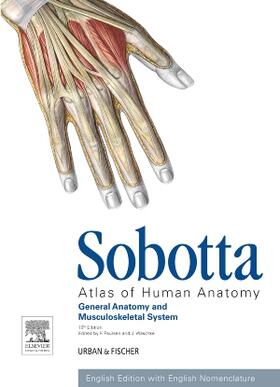 Paulsen / Waschke | Sobotta Atlas of Human Anatomy, Vol.1, 15th ed., English | Buch | 978-0-7020-5251-4 | sack.de