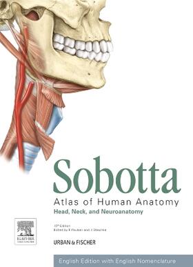 Paulsen / Waschke | Sobotta Atlas of Human Anatomy, Vol. 3, 15th ed., English | Buch | 978-0-7020-5253-8 | sack.de