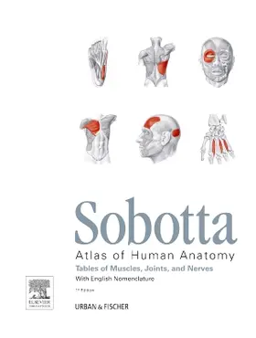 Paulsen / Waschke | Sobotta Tables of Muscles, Joints and Nerves, English | Buch | 978-0-7020-5254-5 | sack.de