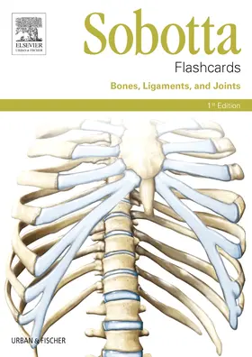 Bräuer | Sobotta Flashcards Bones, Ligaments, and Joints | Buch | 978-0-7020-5257-6 | sack.de