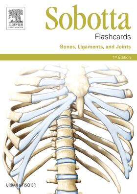 Bräuer | Sobotta Flashcards Bones, Ligaments, and Joints | Buch | 978-0-7020-5257-6 | sack.de