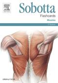 Bräuer |  Sobotta Flashcards Muscles | Sonstiges |  Sack Fachmedien