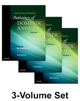Maxie | Jubb, Kennedy & Palmer's Pathology of Domestic Animals: 3-Volume Set | Buch | 978-0-7020-5322-1 | sack.de
