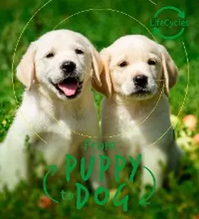 De La Bedoyere |  Lifecycles - Pup To Dog | eBook | Sack Fachmedien