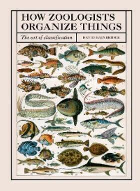 Bainbridge | How Zoologists Organize Things | E-Book | sack.de