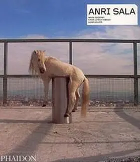 Godfrey / Obrist / Gillick |  Anri Sala | Buch |  Sack Fachmedien