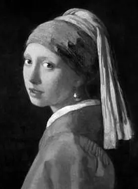 Goldscheider / Franits |  Vermeer | Buch |  Sack Fachmedien